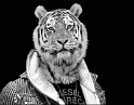 09.03.2011 Montage-Tiger-Puppe